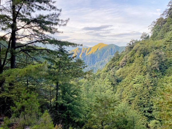 知馬漢山三日艱苦行（比百岳還硬的中級山）  2021/8/29-311451766