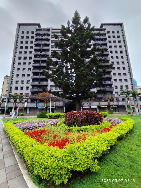 內湖大港墘公園、西湖圖書館、湖光教會、737巷美食街2729379