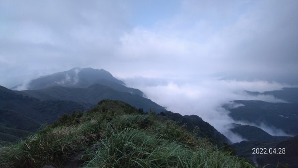 4/28陽明山再見雲海1691987