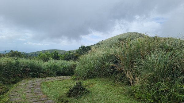 2023-0930冷水坑_絹絲瀑布步道_上切竹篙山_內寮古道2299421