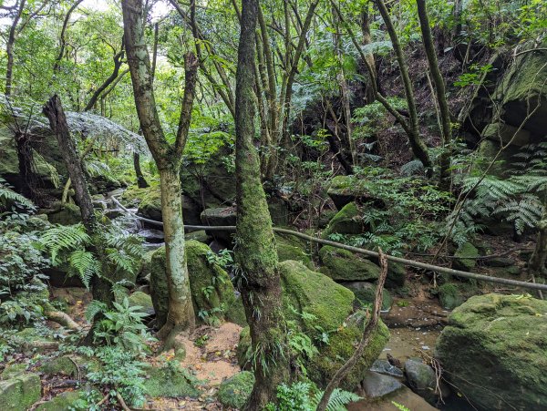 2023-10-22 臺北大縱走第四段2792954