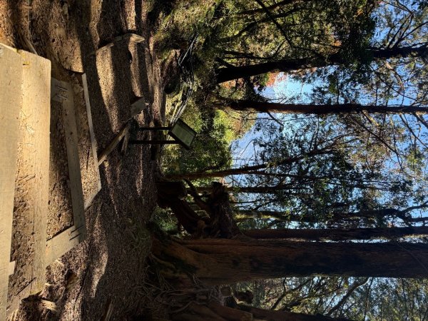 1141215塔山步道2963171