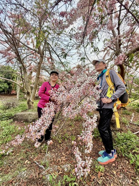 楠西悠遊(鹿陶洋.爐芝潭山)  2026.3.263027455