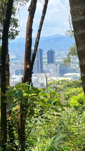 ⛰️📷🏀 230624 碧山巖 → 捷運劍潭站2200911