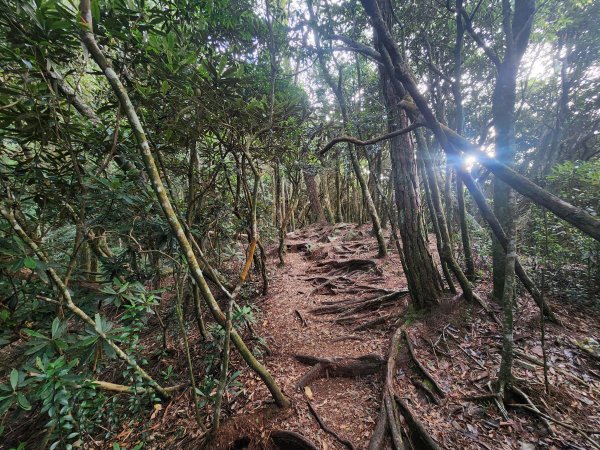 20250831鳶嘴稍來2928601