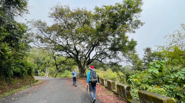 1101222貓囒山。向山遊客中心1563015