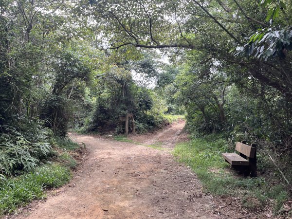 [皮皮獅探險隊-05/10] 2025_0706 石光古道2831854