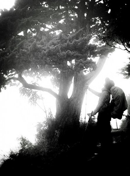 國慶日走雪主東464528