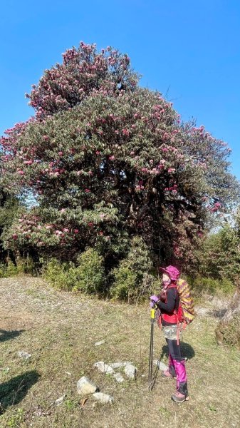 尼泊爾安納普娜ABC基地營健行2500906