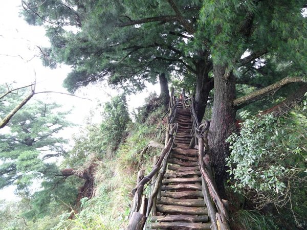 為雪山東峰特訓--大坑步道452438152