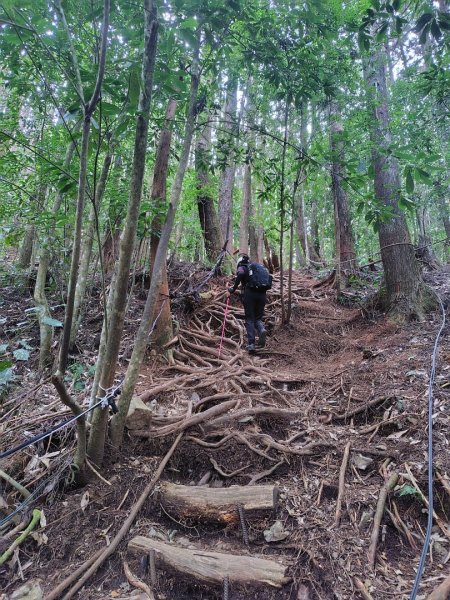 長壽山、肥崠山、醜崠山、大崠山、大崠山經建版2931556
