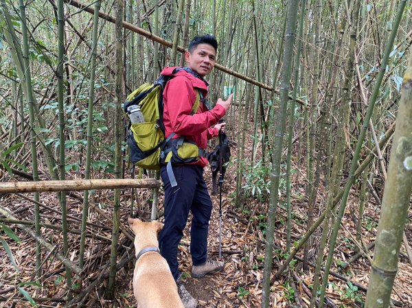 烏嘎彥竹林步道.馬都安古道【因為堅持 所以更顯珍貴】2064469