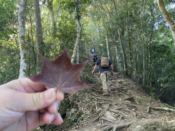 馬那邦山1573106