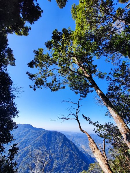 泰安鳥嘴山（上島）2689341