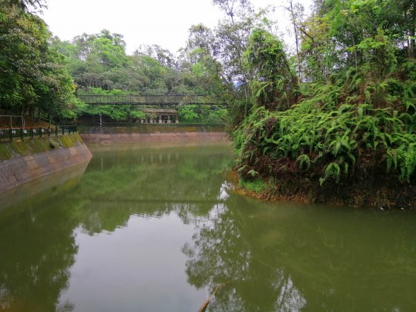 魚池~環湖步道享悠閒~頭社水庫生態步道963844