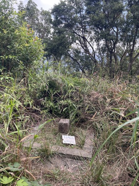 千島湖周邊步道2936044