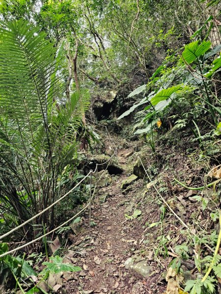 馬胎古道、馬胎二期古道、南坪古道2986006