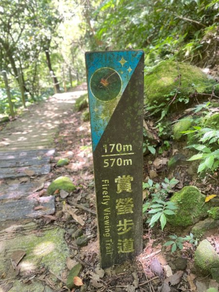 微笑山⛰️線-大棟-二格山-五分山-天上山-鳶山💎12條步道完成💙2837239