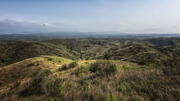 苗栗通霄塗崁頂山1408265