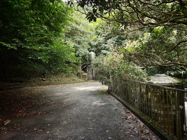 [淡蘭古道] 2026_0531 北路第一段_樹梅坪古道3070642