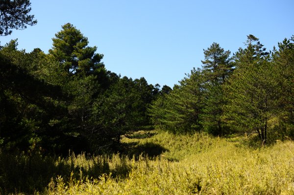 武法奈尾山天巒池872482