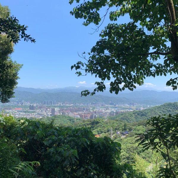 20260531大棟山、青龍嶺、大同山步道3067102