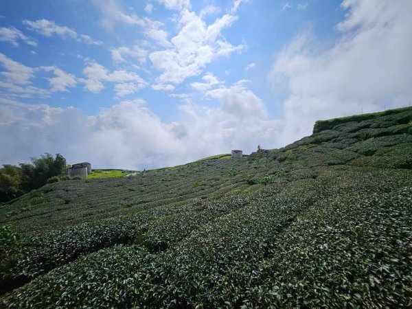 20260921 樟湖生態國小登後棟仔山挑筍古道上大、二尖山3121227