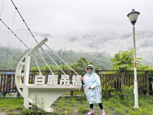 雨下的白毛山步道與白鹿吊橋2805290