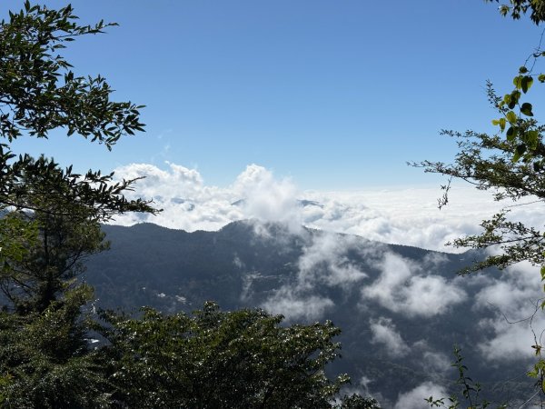 1141215塔山步道2962694