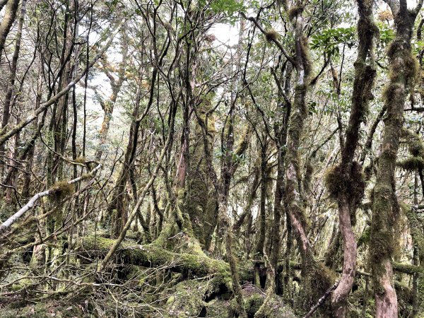 魔幻森林三星山與三星池1658337