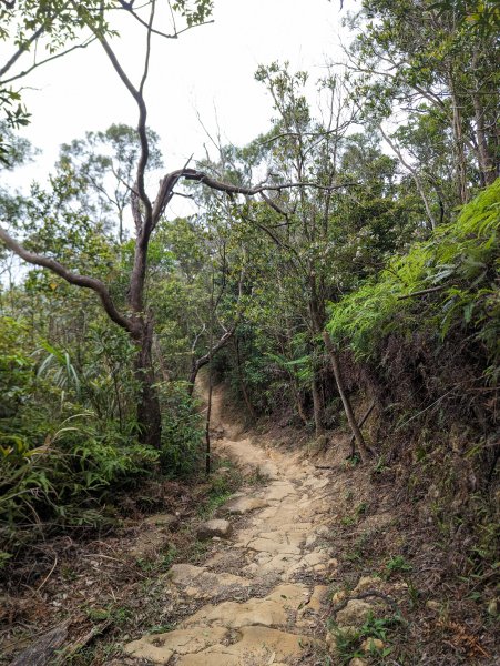 2024-05-12 軍艦岩、丹鳳山越野跑2793771