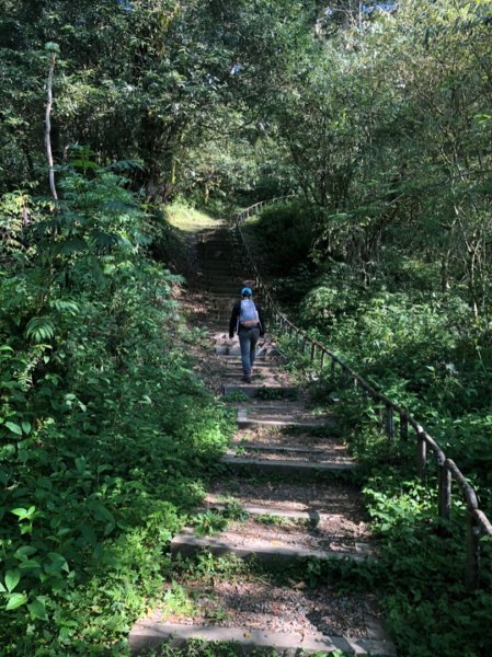 特富野古道893348