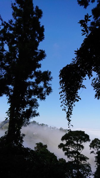 仙山登山步道503209