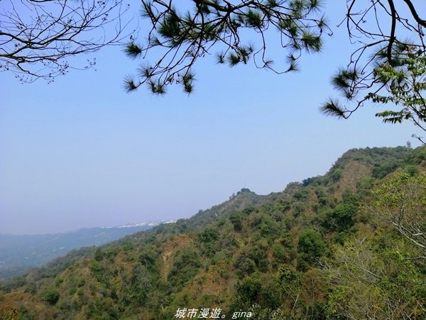 【台中。北屯】台灣百大必訪步道。 大坑四號步道1338786