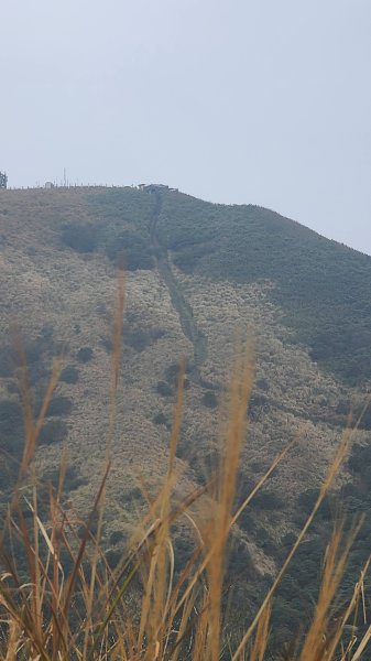 2026-0116 大屯三山_貴子坑_北投2984725