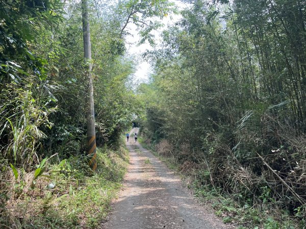 [皮皮獅Hike客任務-02/10] 2024_0720 渡南古道+飛鳳古道2557094