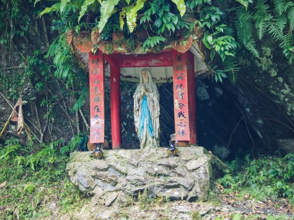 [宜蘭]五峰旗-聖母山莊-三角崙山820488