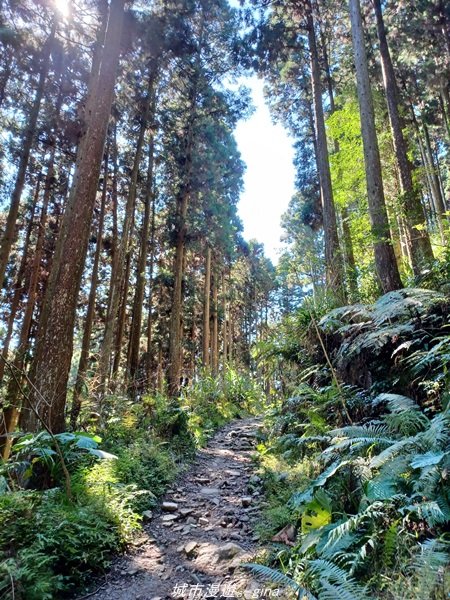 【新竹。五峰】  悠遊山林。 小百岳集起來。 編號31小百岳~鵝公髻山步道x山上人家1652461