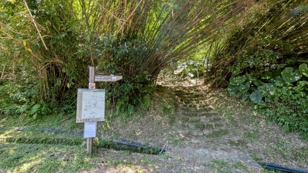 114.06.28內平林山-番子坑山-平湖森林遊樂區之O型2824202