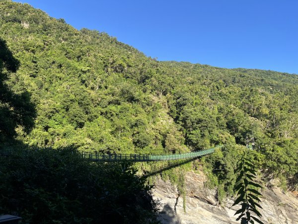 [玉山尋寶任務-03/12] 2025_0810 瓦拉米步道2857381