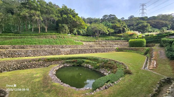 20251208雞寮坑山南稜線O走+鹿寮坑濕地賞景採果2969014