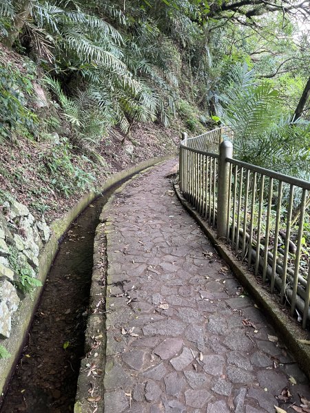 2024_1020 貴子坑親山步道2634257