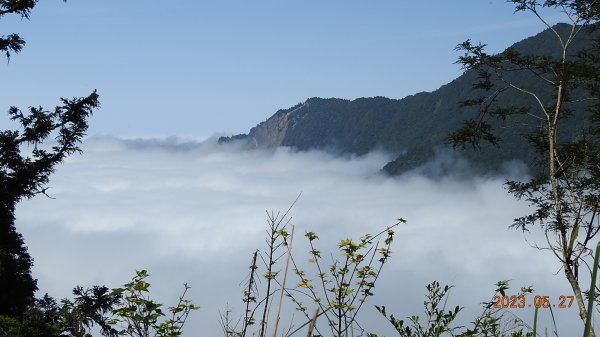 太平山之望洋山&觀雲步道之雲海+觀音圈5/282163474