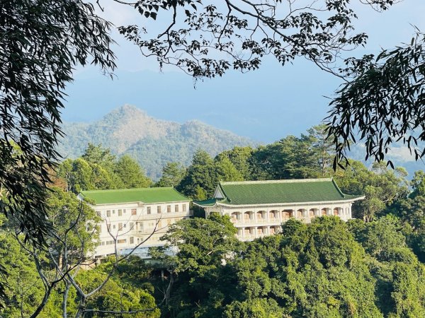 1141207金童山2957735