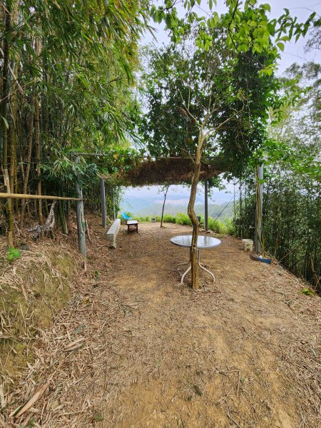 112/2/23龍鳳連稜2148210