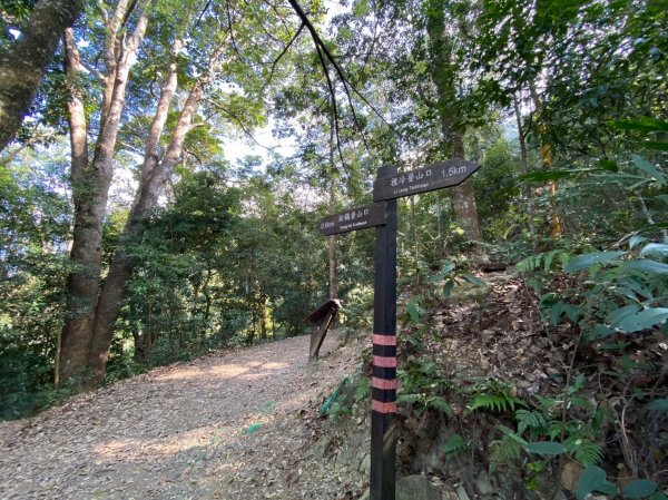 唐麻丹山-松鶴上三角點O型回松鶴2378401