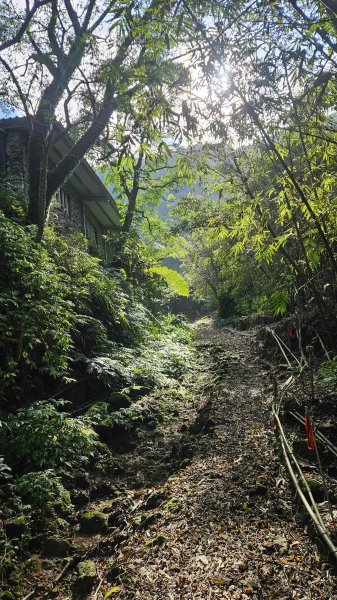 20251124綠峰山莊到天籟-大孔尾步道-南勢湖步道2944105