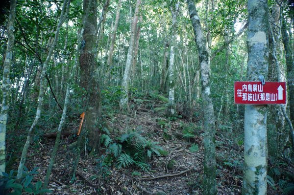 新竹 尖石 內鳥嘴山2899168