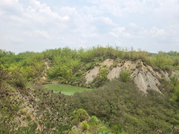 2025-04-07 左鎮後坑古道（牛港嶺）2757650