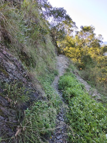 [玉山尋寶任務-07/12] 2025_0824 八通關雲龍瀑布步道2870619